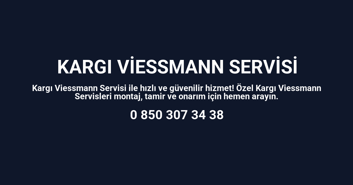 Kargı Viessmann Servisi